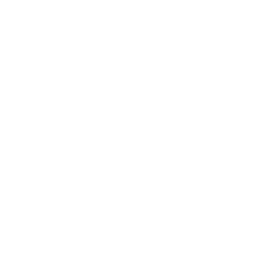 Next Level Engineers