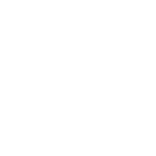 Next Level Engineers
